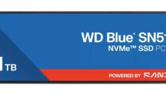 SSD SANDISK WDS100T5B0E