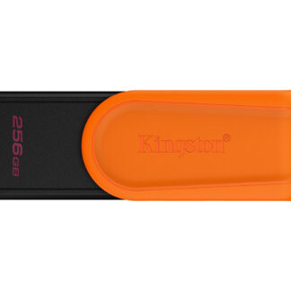 Memorias USB Kingston Technology DTXS/256GB
