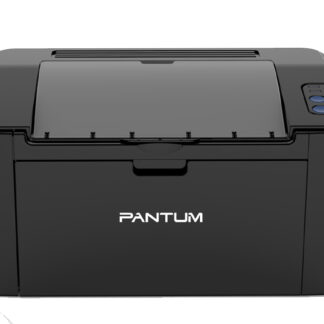 Impresora Pantum P2500W