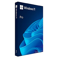 MICROSOFT OEM KIT DE LEGALIZACION GGK WINDOWS 11 PROFESIONAL 64 BITS ESPAÑOL LAT 1PK DSP DVD
