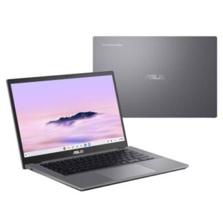 Laptops Asus Business NB CX3402CVA-C38G256-C1